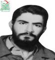 ایرج فیروزی