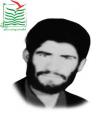 مجید محمودی