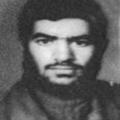 محمد مرتضوی راوری
