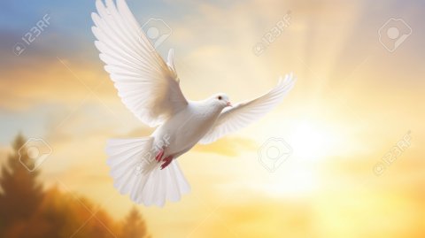 قصیده‌ای برای شهید دانشجو